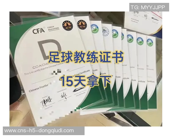 提升足球e级教练员素质的有效策略与实践探索 提升足球e级教练员素质的有效策略与实践探索